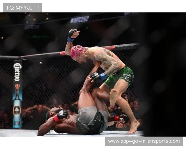 UFC奥马利步伐移动更灵活——探索终极格斗的速度与敏捷奥秘