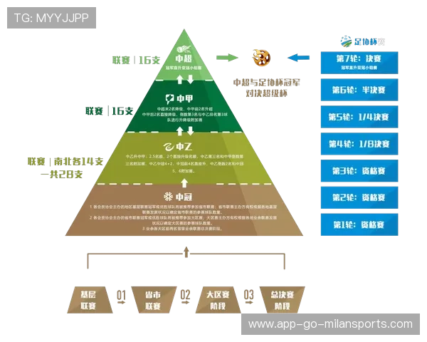 联赛运行结构变化分析（489 ）